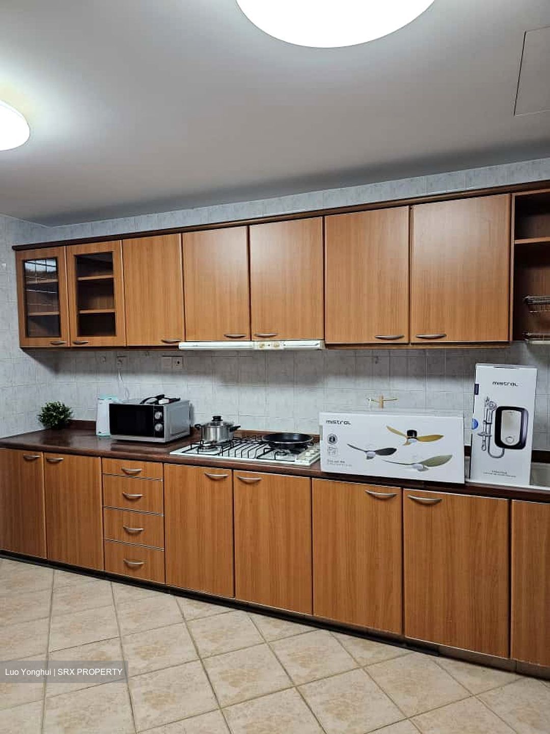 Windermere (D23), Condominium #483816171
